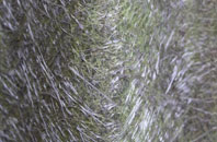 Penton Mewsey fibreglass roof work